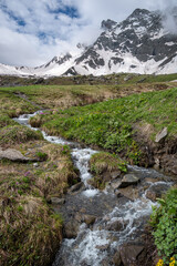 small stream in the valley fed from the snow mountain