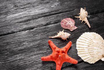 Seashells and red starfish on the black table top view background with copy space.