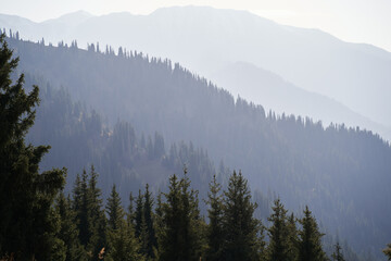 Mountain landscape with a view on valleys with forest.