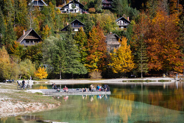 Detail from Kranjska Gora, Slovenia