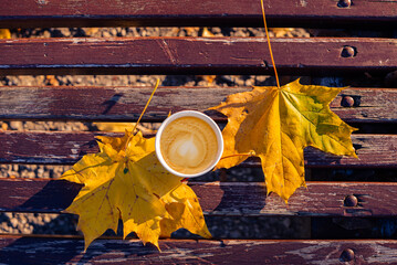 A cup of coffee stands on a bench with autumn leaves. Top view