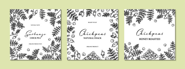 Set of hand drawn chickpeas botany backgrounds. Vector illustration in sketch style. Packaging design