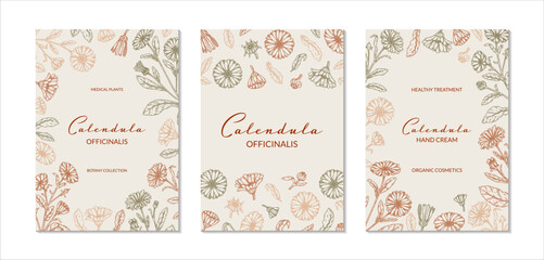 Set of calendula vertical packaging designs with hand drawn elements. Vector illustration in sketch style