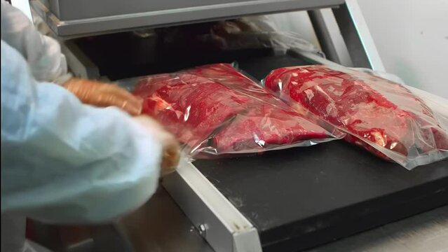 Fresh raw pieces of beef are packed in vacuum cellophane plastic bag. Industrial meat processing plant factory. Semi-finished products are on production line on conveyor belt in workshop