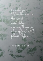 I will give You thanks in the great assembly; among throngs of people I will praise You.  Psalm 35:18 