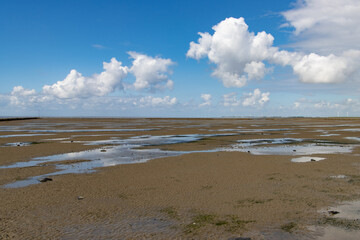 Landscape of the wadden sea during low tide, national park wattenmeer
