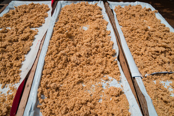Drying gatot in the hot sun, a brown food from the Gunung Kidul region that comes from cassava tubers