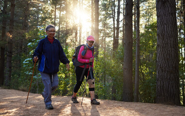 Forest, fitness and old couple hiking in nature with trekking sticks with backpacks on a mountain trail. Retirement, hikers and elderly woman walking with senior partner outdoors in woods in Peru