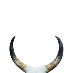 Eid-Al-Adha Mubarak- Islamic eid holiday background.Eid al Adha greeting card. Animals to sacrifice for muslim eid-ul-adha. 2d Rendering illustration