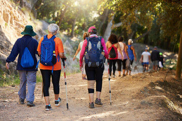 Fitness, health and hiking with people in forest for workout and walking in nature for wellness, park and freedom. Summer, exercise and training with elderly friends or trekking group in woods