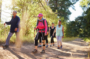 Hiking, walking and senior women in a forest or woods on a hiking trail together. Group of old...