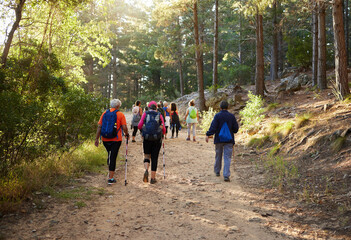 Hiking, nature and fitness with a group of people walking in the woods or forest for health and...
