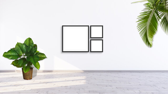 Three square frame mockup on a white gallery wall with wooden floor, palm leaves and green leaf plant pot 3d rendering illustration.