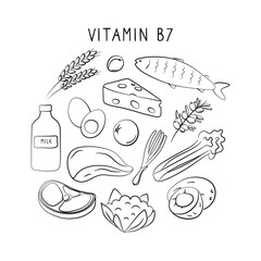 Vitamin B7 Biotin. Groups of healthy products containing vitamins. Set of fruits, vegetables, meats, fish and dairy.