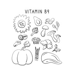 Vitamin B9 folic acid. Groups of healthy products containing vitamins. Set of fruits, vegetables, meats, fish and dairy.