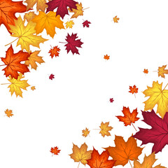 Fototapeta premium Autumn Maple Frame