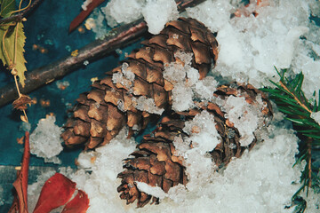 Spruce cones and branches in the snow, winter Christmas composition. New year, Christmas. Selective selective focus