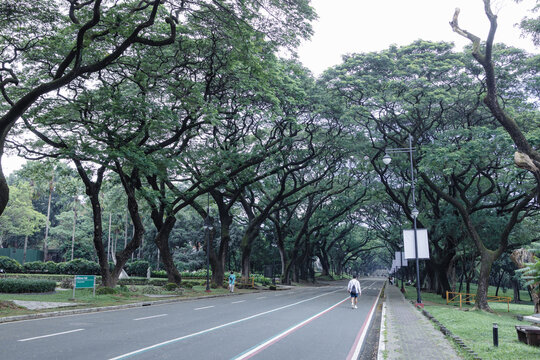 People Who Visit For Enjoy Weekend The University Of Philippines Diliman , Quezon City, Metro Manila , Philippines