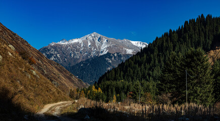 view of the mountains in autumn