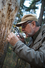 male forester examines trunk of tree eaten by pests. ecology, environmental protection. national park