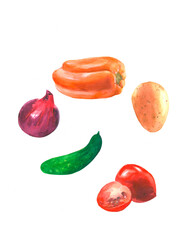 A set of red and green fresh watercolour vegetables isolated on white 