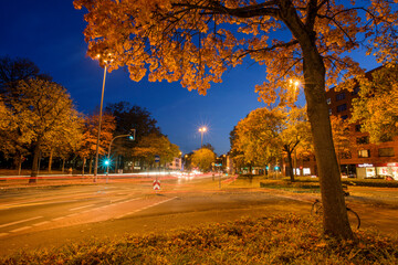 Hammerstrasse im Herbst