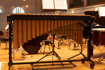 Percussion in the concert hall. Percussion instruments. Xylophone
