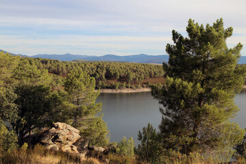 View of the lake and the forest at the end of summer