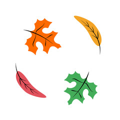 Colorful autumn leaves set isolated on white background. Simple flat style, vector illustration