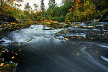 Autumn colors in river