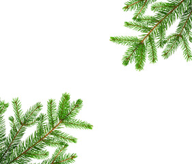 Frame made of spruce branches. Christmas tree isolated on white background. New Year 