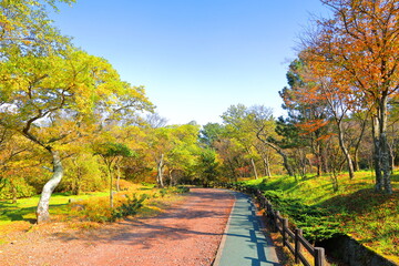 제주 한라산에 있는 한라생태숲의 아름다운 가을 풍경이다.