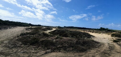 Dünen an der portugiesischen Atlantikküste