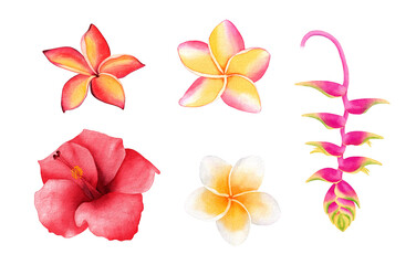 Set of tropical flowers. Watercolor hand drawn illustration, isolated on white background