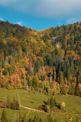 autumn in the mountains