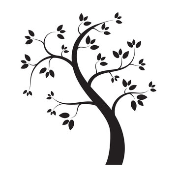 black tree silhouette isolated on white background  vector illustration.