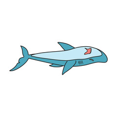 Fototapeta premium Shark vector icon.Color vector icon isolated on white background shark.