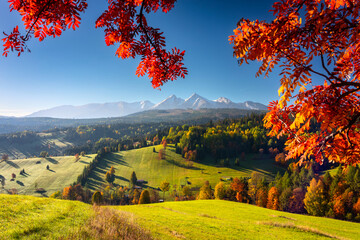 Beautiful autumn with a red and yellow trees under the Tatra Mountains at sunrise. Slovakia - obrazy, fototapety, plakaty