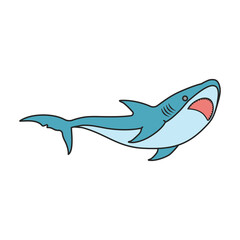 Shark vector icon.Color vector icon isolated on white background shark.