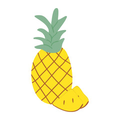 Pineapple and its slices in doodle style. Hand drawing