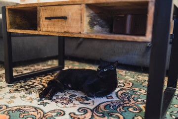 Mesa de madera en salon de casa con decoración de halloween, chucherias y velas encendidas