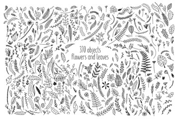 Set of objects from flowers and leaves doodle squiggles sketch collection template