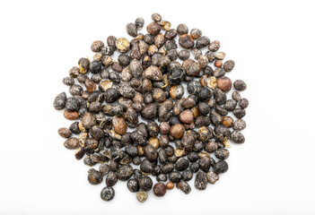 The palm kernel is the oil palm fruit. 
The fruit yields palm oil derived from the outer elements of the fruit, and palm kernel oil derived from the kernel