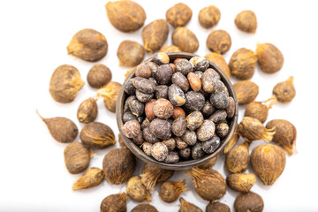 The palm kernel is the oil palm fruit. 
The fruit yields palm oil derived from the outer elements of the fruit, and palm kernel oil derived from the kernel