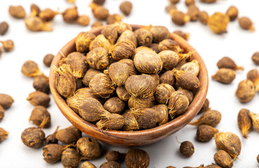 The palm kernel is the oil palm fruit. 
The fruit yields palm oil derived from the outer elements...