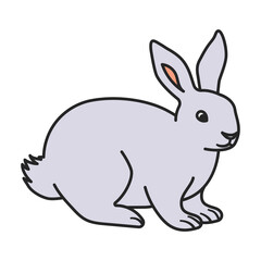 Rabbit vector icon.Color vector icon isolated on white background rabbit.