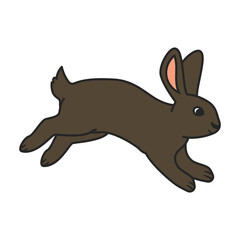 Rabbit vector icon.Color vector icon isolated on white background rabbit.