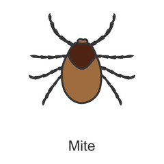 Mite vector icon.Color vector icon isolated on white background mite.