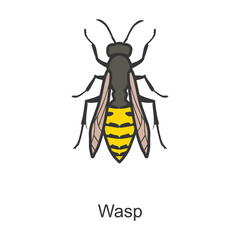 Insect wasp vector icon.Color vector icon isolated on white background insect wasp .