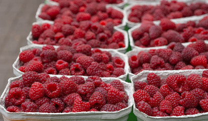 Ripe Raspberries in a Paper Container, Rasp Berries Closeup